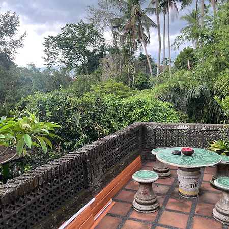 Rumah Kelinci Ubud Kültér fotó