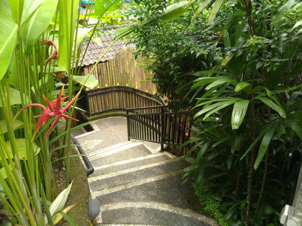 Rumah Kelinci Ubud Kültér fotó
