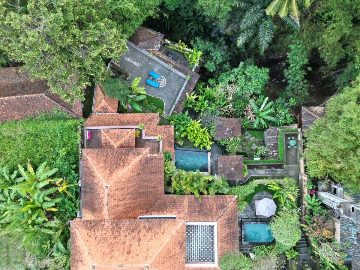 Rumah Kelinci Ubud Kültér fotó