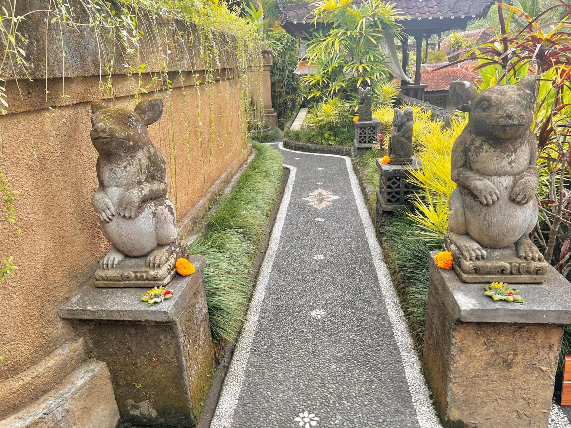 Rumah Kelinci Ubud Kültér fotó