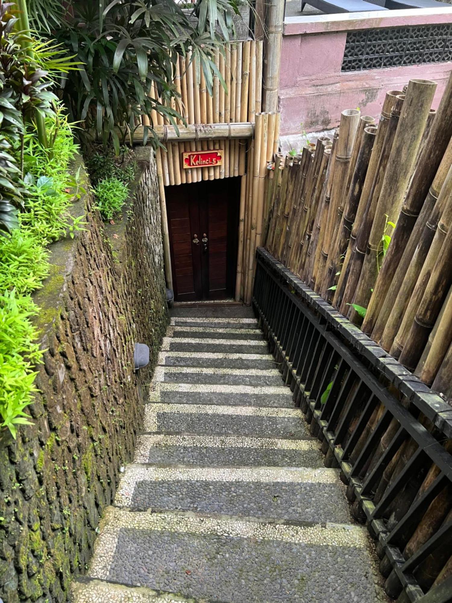 Rumah Kelinci Ubud Kültér fotó