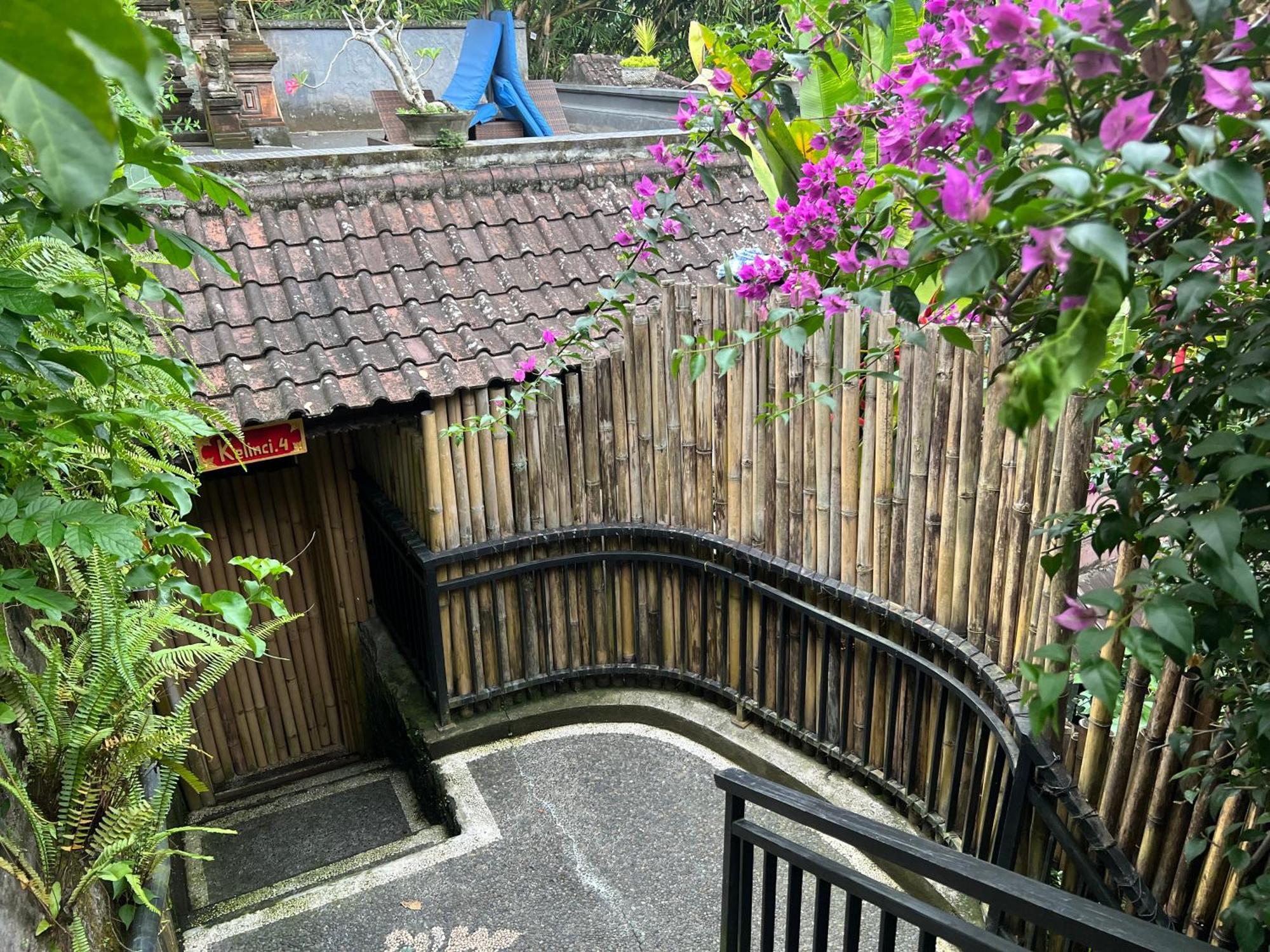 Rumah Kelinci Ubud Kültér fotó