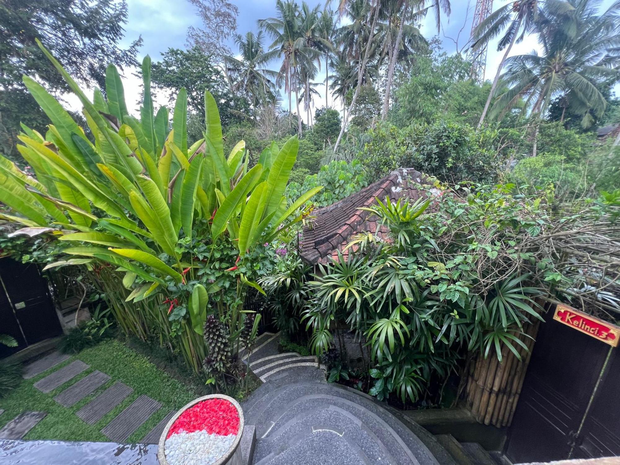 Rumah Kelinci Ubud Kültér fotó