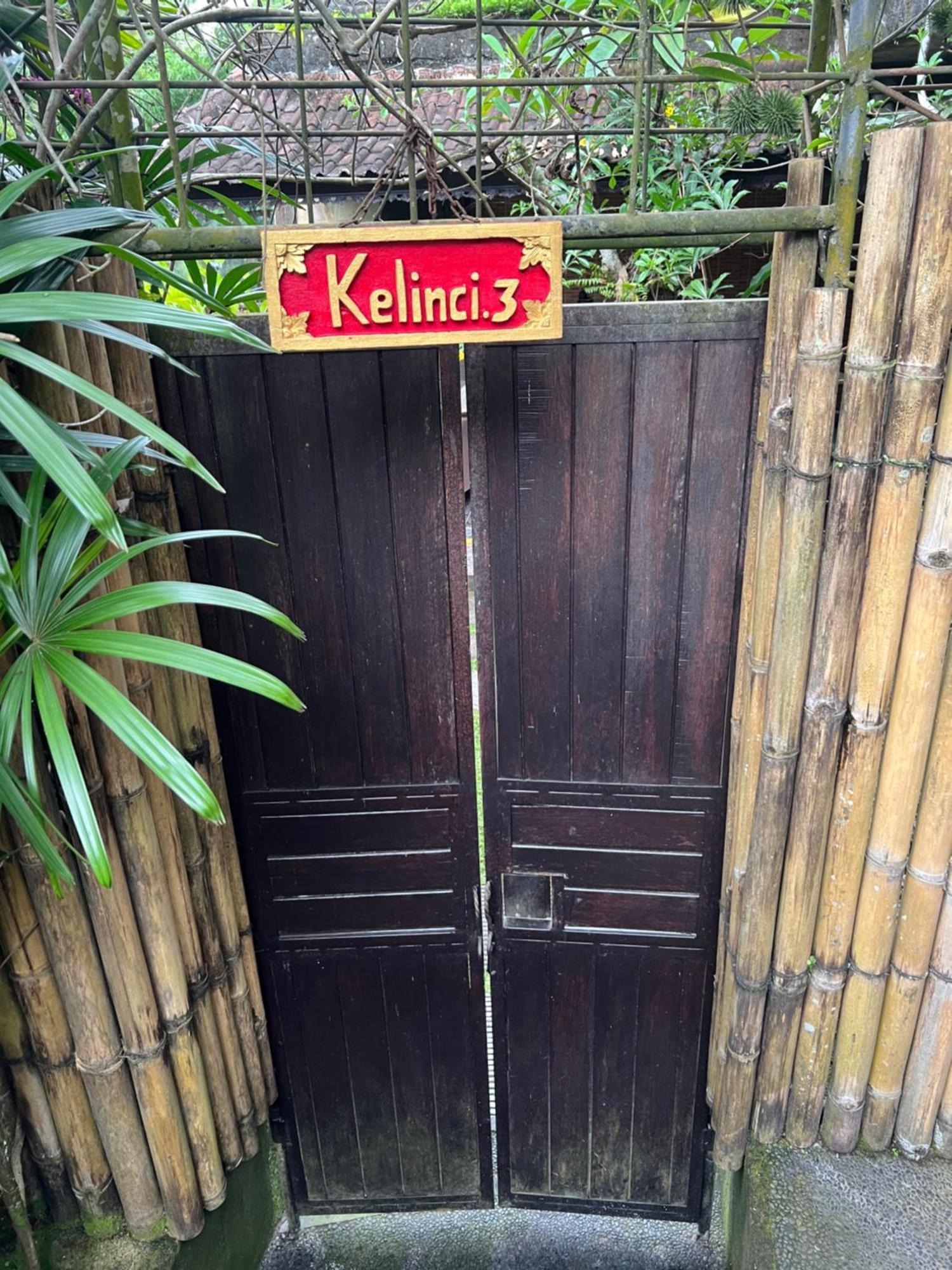 Rumah Kelinci Ubud Kültér fotó