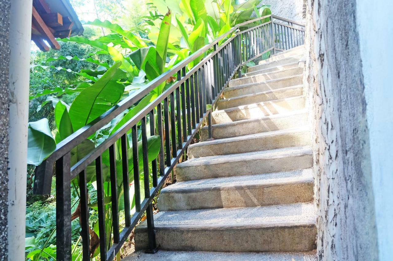 Rumah Kelinci Ubud Kültér fotó