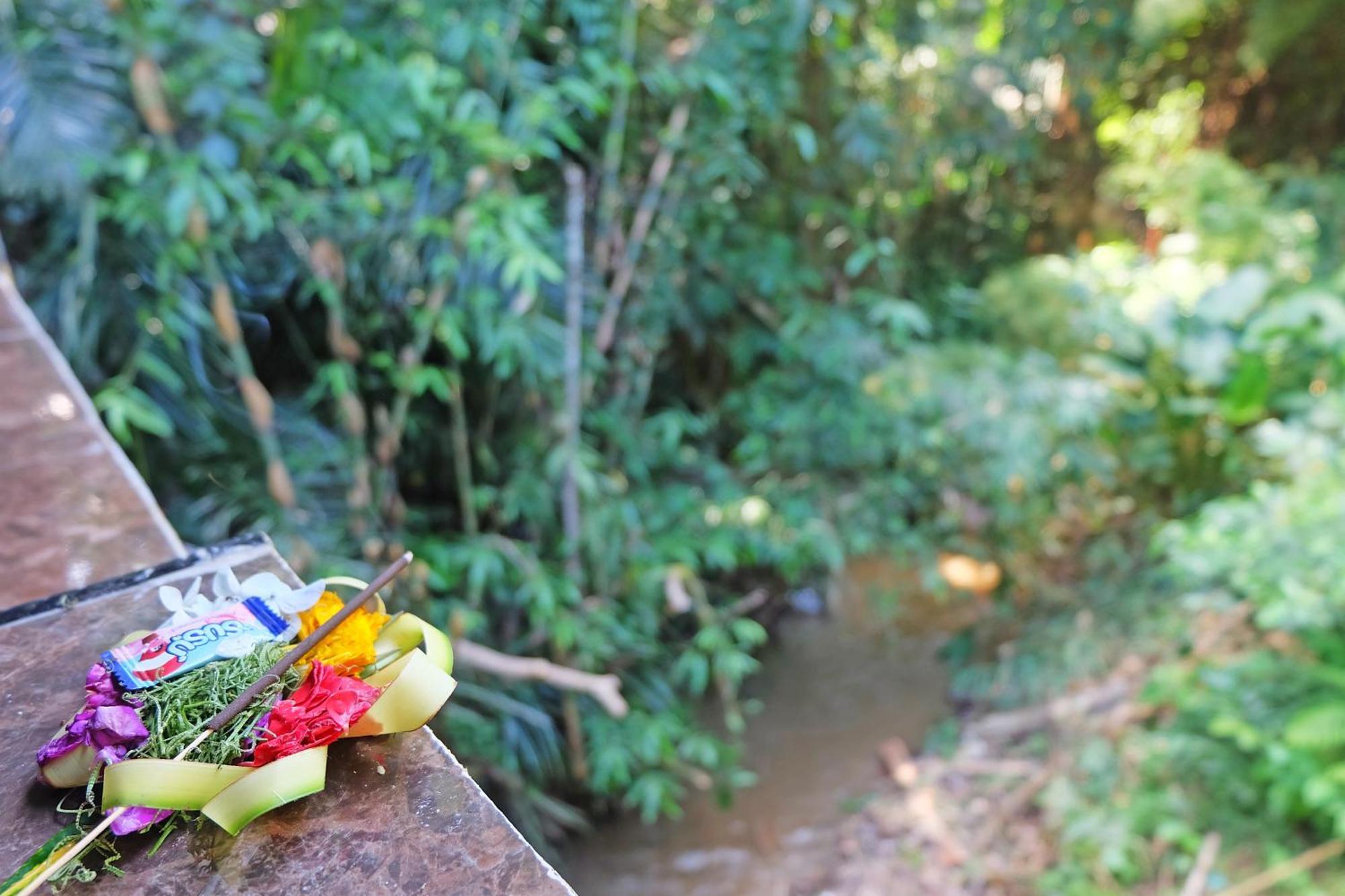Rumah Kelinci Ubud Kültér fotó
